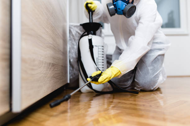 Best Best Pest Control Companies  in Hurst, TX