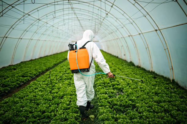 Best Local Pest Control Services  in Hurst, TX