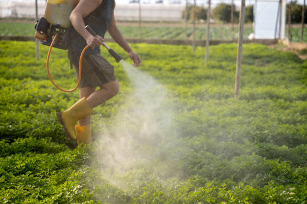 Best Pest Control Cost  in Hurst, TX