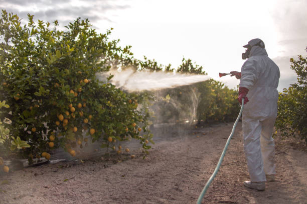 Best Best Pest Control Companies  in Hurst, TX